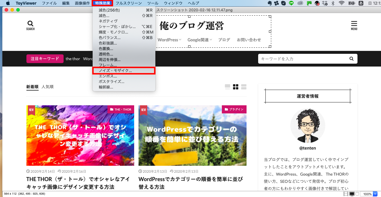 ブログで使う画像を簡単にモザイクかける方法について Mac用フリーソフト Toyviewer 俺のメディア運営